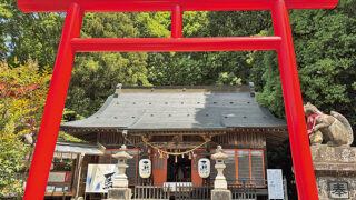 犬山で人気！三光稲荷神社の金運・縁結びパワースポット
